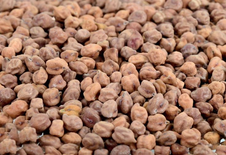 Black Chana