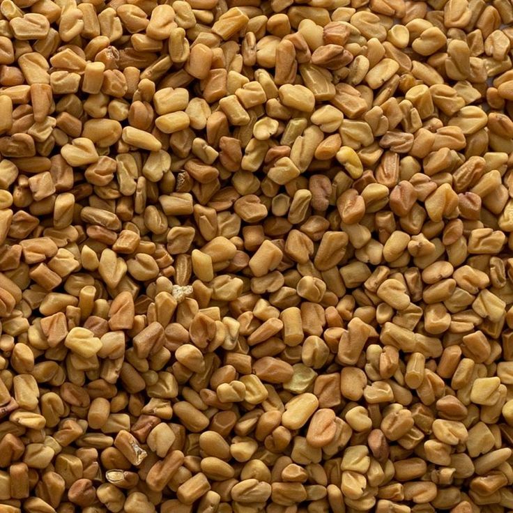 Fenugreek Seeds